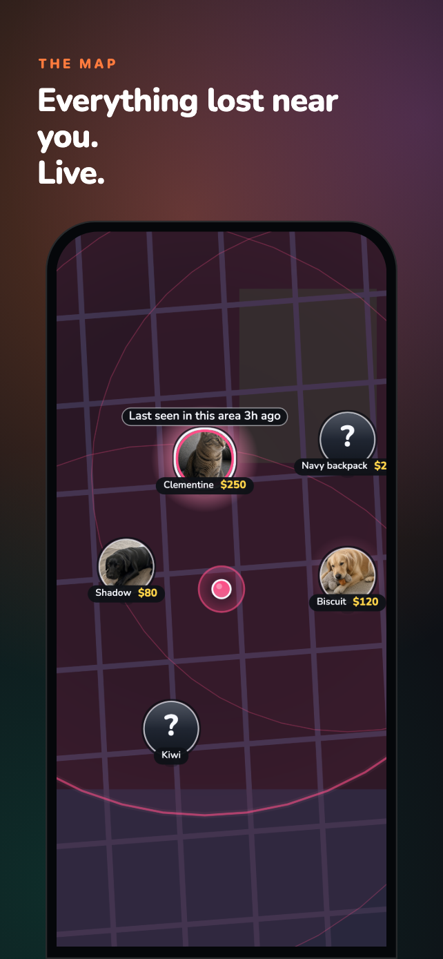 App screenshot of the live map with three lost pets nearby